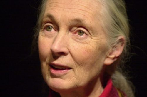 表里不一之人的普遍特征：眼神的飘忽与回避