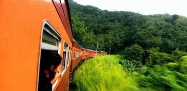 努沃勒埃利耶：高山茶园里的“冻死人之地”