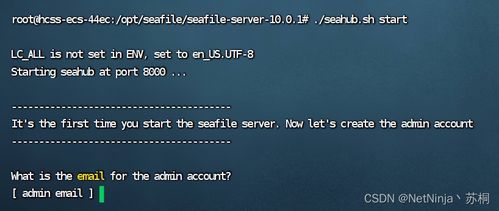 ：风水学中的紫微星及其象征意义