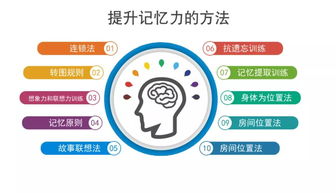 差异化策略建议：将外貌判断应用于实际生活之可行路径