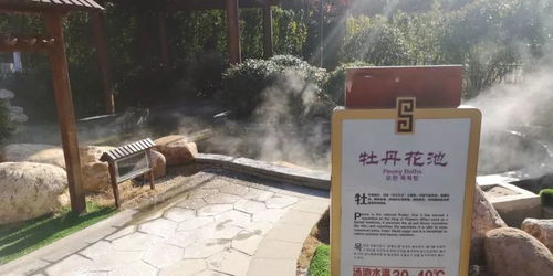 门票玄学：考验人性的第一道关卡