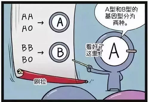 三、星相与血型交叉视角下年轻巧化富有豪分布特征解析