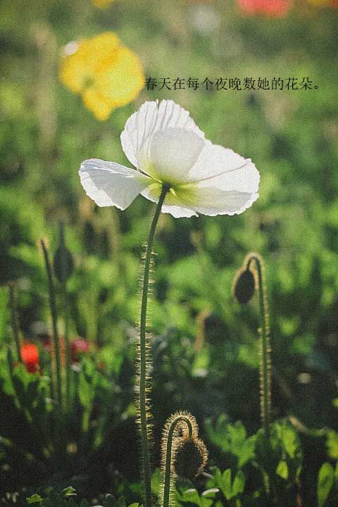 历史变迁中的微小差异：并非每年都为同一日期