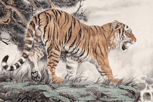 属虎人2026年及以后运势如何？