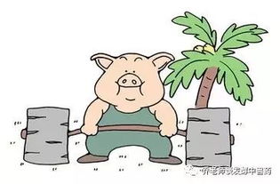 1983年属猪男性在2025年下半年运势如何？