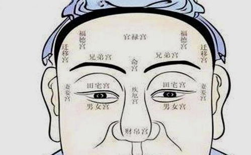 面相中哪些特征的人具有道缘？如何测试自己是否带有道缘？