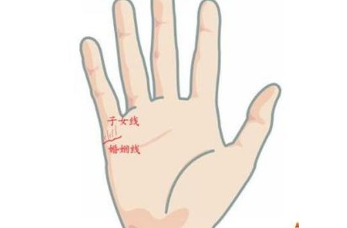 手相花纹和线条呈现网状，这是什么手相特征？