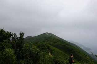 石澳龙脊徒步：别被“最佳市区路线”骗了 这才是较深度游的正确打开方式