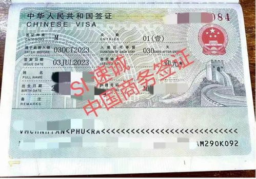 第六步：等待审理后来啊 （15–30个工作日）