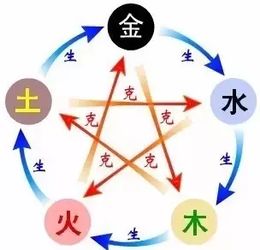 1. 五行相合组合