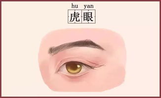 2. 目光聚焦程度