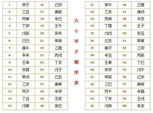 （一）天干地支与八字配合原理