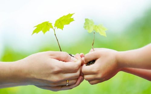 一、 五行缺乏或失衡对精神症状的潜在映射