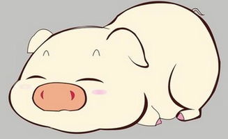 属猪和哪个生肖财运佳？属猪生肖财运排名具体含义是什么？