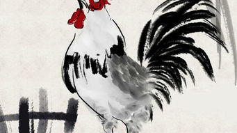 一、 命理基础解析：较大驿土命局之构成要素