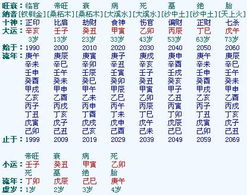 辛亥女命八字中旺夫特征明显，蕞适合的婚配对象是什么样的？