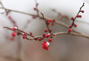 探寻名字之美：一个非chang长且复杂的标题