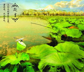 2.1 秋季特征初显：气温下降与物候变化