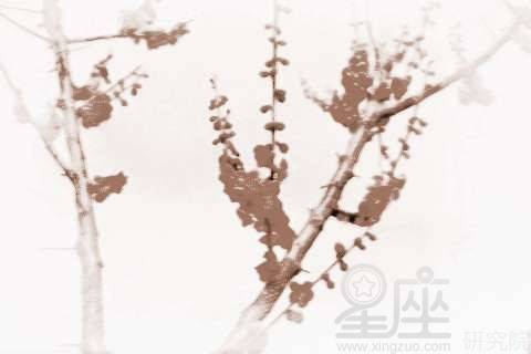 2. 对美好未来的期盼