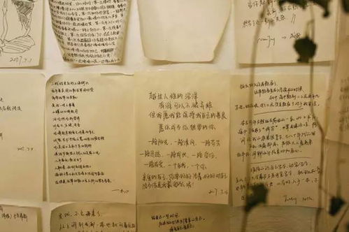 深夜图书馆：书页翻动时 鬼影浮现之谜——一部风水国学视角的学术分析