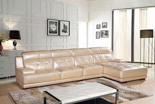 第一章 牛皮沙发垫在风水学体系中的本体论意义