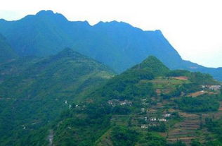 11月份有哪些黄道吉日适合破土动工呢？