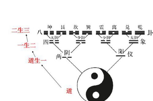 代表数字：1、6