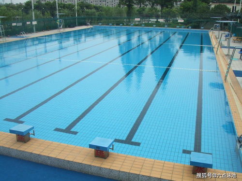 第一节：材质对比与成本效益分析