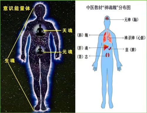 灵性维度的深度剖析：婴灵与能量场
