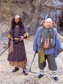 姜维观音灵签中姜维视频讲解，有哪些详细内容可以了解？