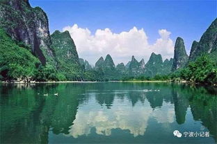 广西案例：桂林山水与优惠之谜