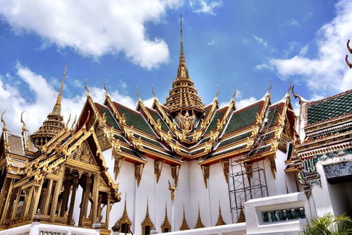 人挤人像沙丁鱼罐头