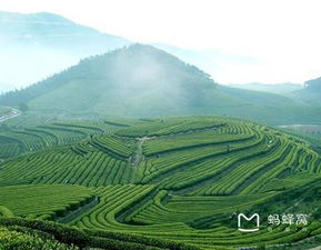 旅游线路：跳出经典框架