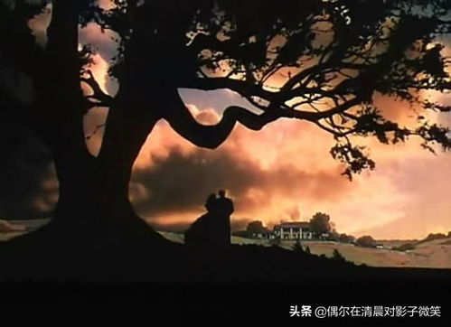 一、 庄园风水与阴阳平衡失衡