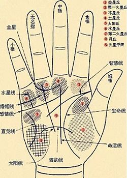 手相算命图解大全中，男性学业运势如何判断？