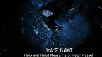 一、生肖马之命理特质:午火属性与深夜亥子水气的先天冲突