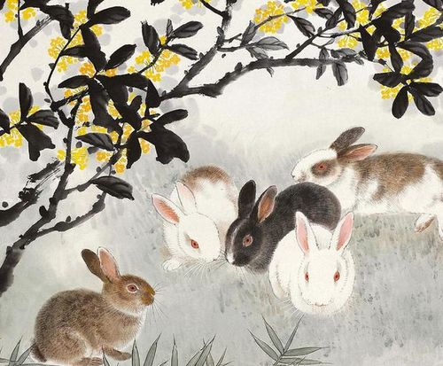 属兔女性2026年婚姻运势如何，五六年出生的属兔人婚姻前景怎样？