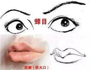 二、  具有明显小人相的面相类型