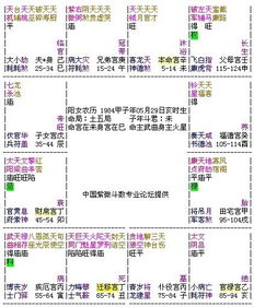 （二）市场价格较高人功能：平辈市场价格较高人与上级市场价格较高人的区分