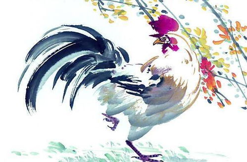 三 、针对属鸡人士在九月份提车的特殊考量