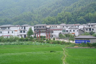 别再被“梅岭主峰必打卡”洗脑了——那一些年我们交的门票智商税