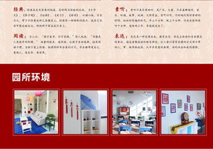 发展前景与传播策略