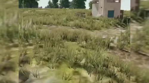 案例一：盐碱废墟向鱼米之乡的生态转型