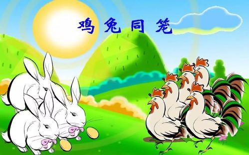 八字配对男鸡女兔大六岁，这样的婚姻组合是否合适？