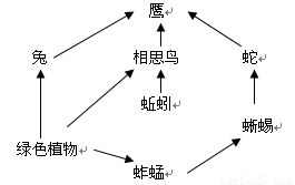 1．风水因素的综合考量