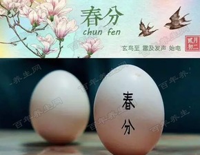 （三）游戏娱乐活动：竖蛋、 放风筝、荡秋千及粘雀子嘴