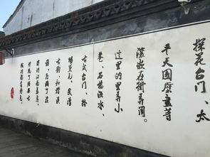 绝了！这些省钱姿势太骚了