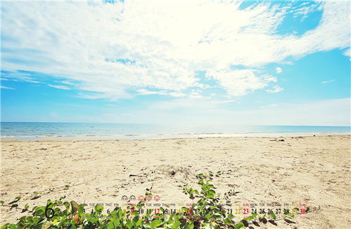 余国宝宝取什么名字好，有没有什么寓意美好的女孩名字推荐呢？