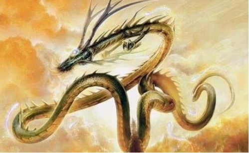 真龙事件：历史记录中的奇异现象