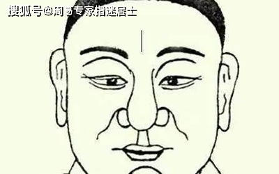 概论：鹰钩鼻女性面相之学理阐释